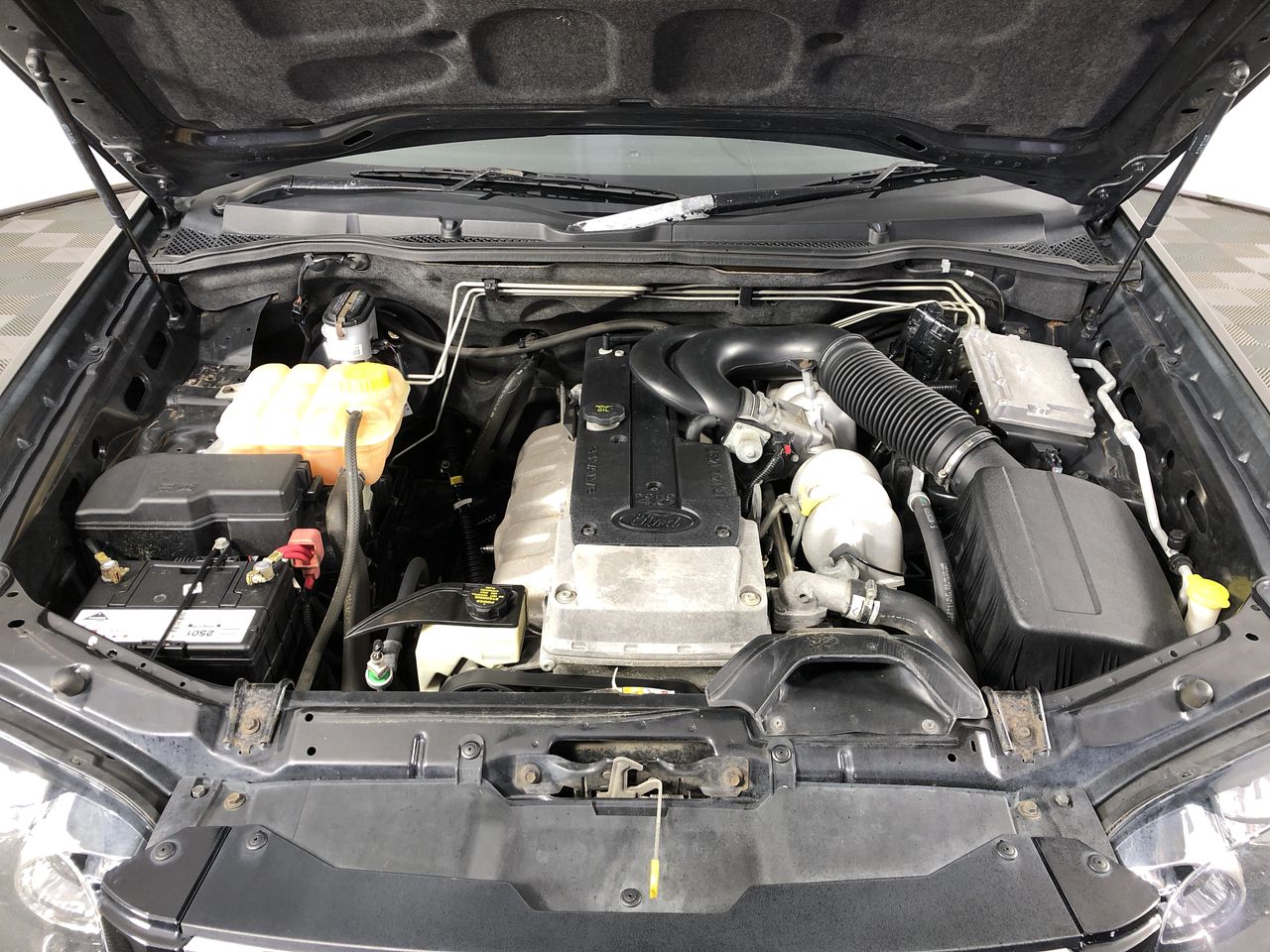 7-8mm & Blister Pearl with Gold Trimming Beaded Necklace