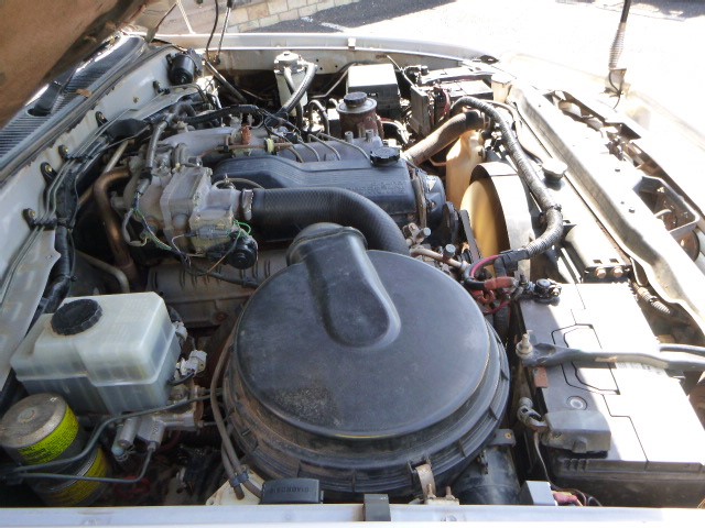 SINA Sauvignon Blanc 2024 (6x 750mL) Marlborough