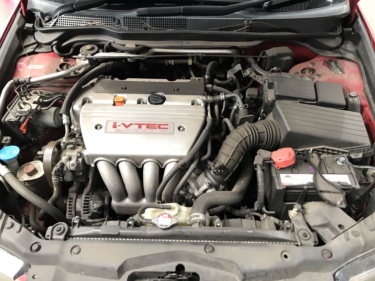 Virtue Merlot 2019 (12x 750mL), Coonawarra