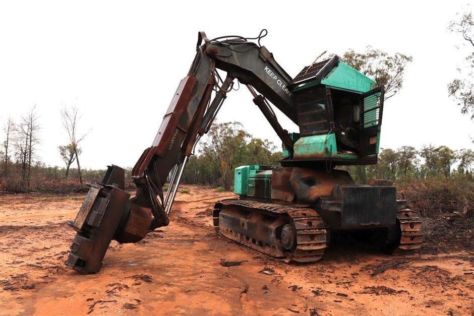 Waterproof  Watch Barrel Shaped Transparent Red Color Quartz Watch Popular