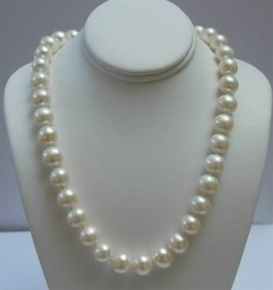 Keruing Laminated Beam GL19 330x65  at 5.4m