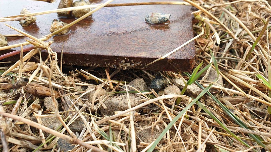 Solid 925 Sterling Silver Heart Pendant Stunning Crystals by Swarovski®