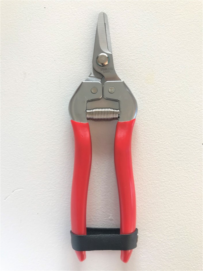 Fishbone Blue Chardonnay 2023 (6x 750mL) Margaret River