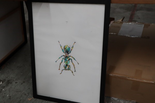 Redbank King Valley Pinot Grigio 2025 (6 x 750mL)