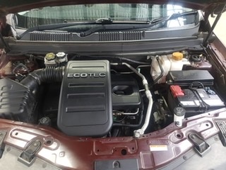 Elephant in the Room Buttery Chardonnay (6x 750mL).