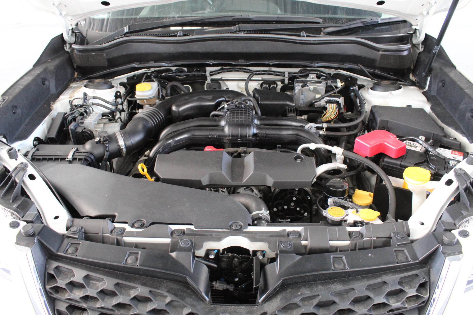 Heavy duty 20ft Container Shelter with End Wall(Unused)