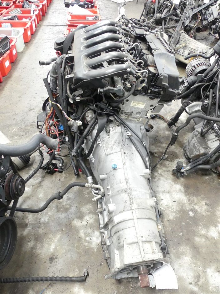 BLUEY Bingo Plush Chair – Soft Kids Armchair, Upholstered Reading Seat for