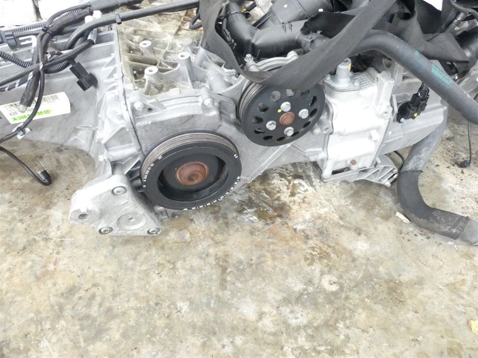 6-7mm Black Pearl & Rhinestone Real Platinum Plated Bracelet