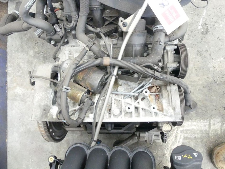 6-7mm Black & White Potato Shape Pearl with Platinum Plated Bracelet