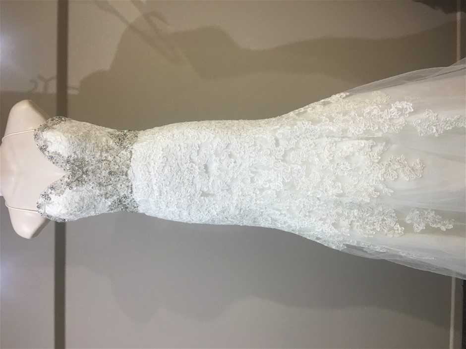 Pioneer Road Cabernet Sauvignon 2019 (6x 750mL) Langhorne Creek