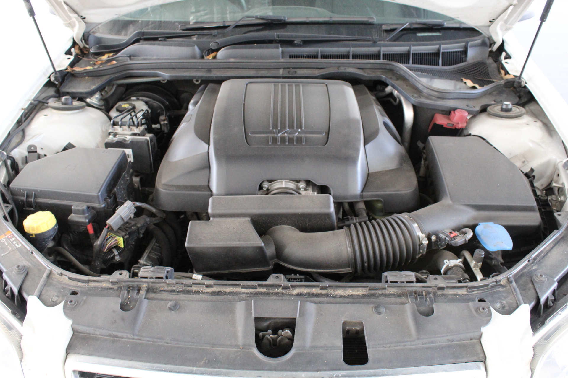 Casella Limited Release Cleanskin Shiraz 2012 (12x 750mL) McLaren Vale