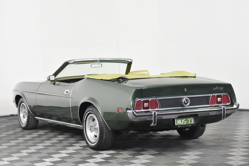 Little Giant Pinot Noir (6x 750mL).