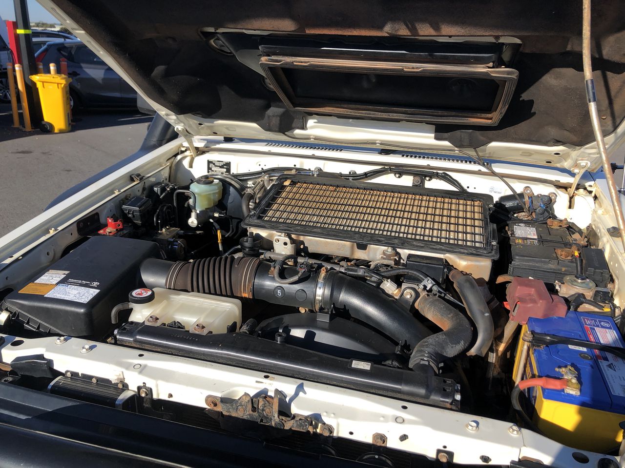 Little Giant Shiraz (6x 750mL).