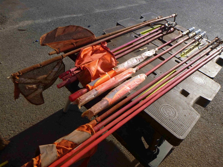 Bulk Pack of 5 Earrings in Gold