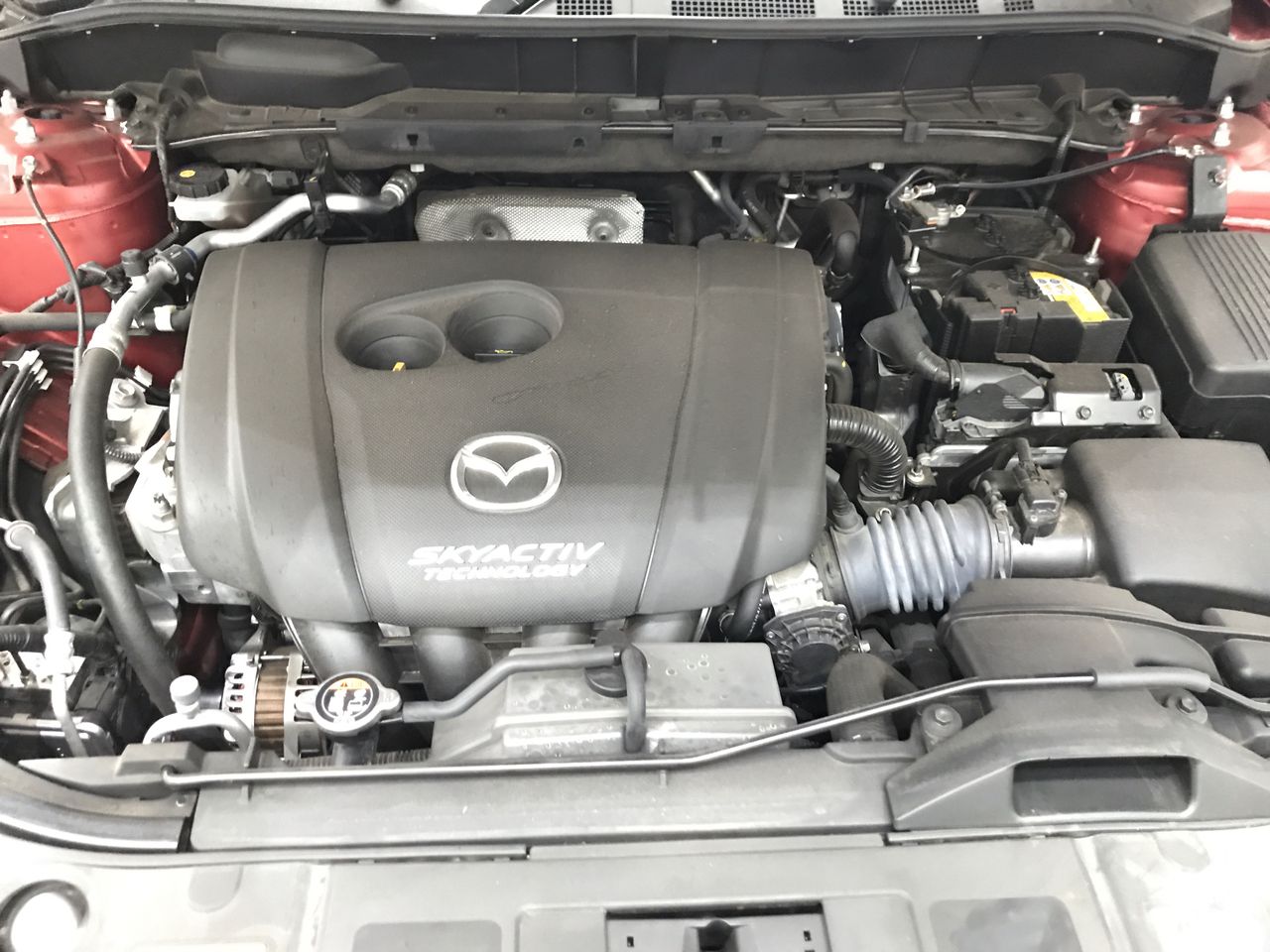 RIP CURL Men's 20" Jackson Boardwalk Shorts, Size 28, Navy (49), CWABJ9.  B