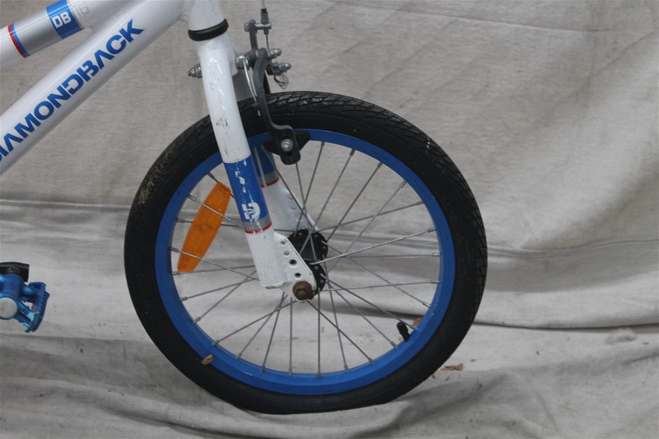 Cleanskin Shiraz 2023 (12x 750mL) SA