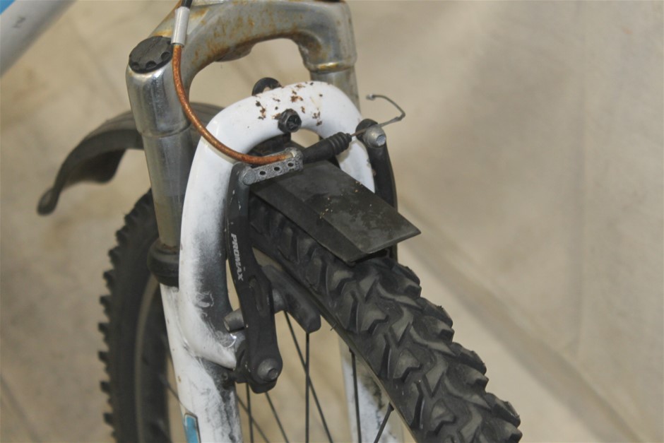 2 Monkeys Chardonnay 2025 (12x 750mL) SEA