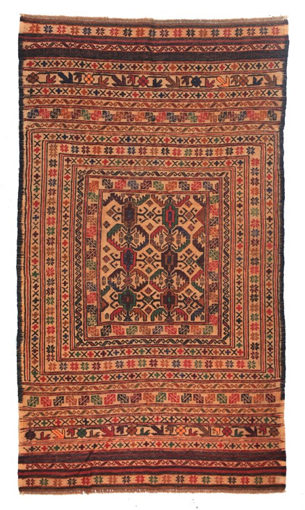 Lost Sheep Pinot Grigio 2025 (12x 750mL) SEA