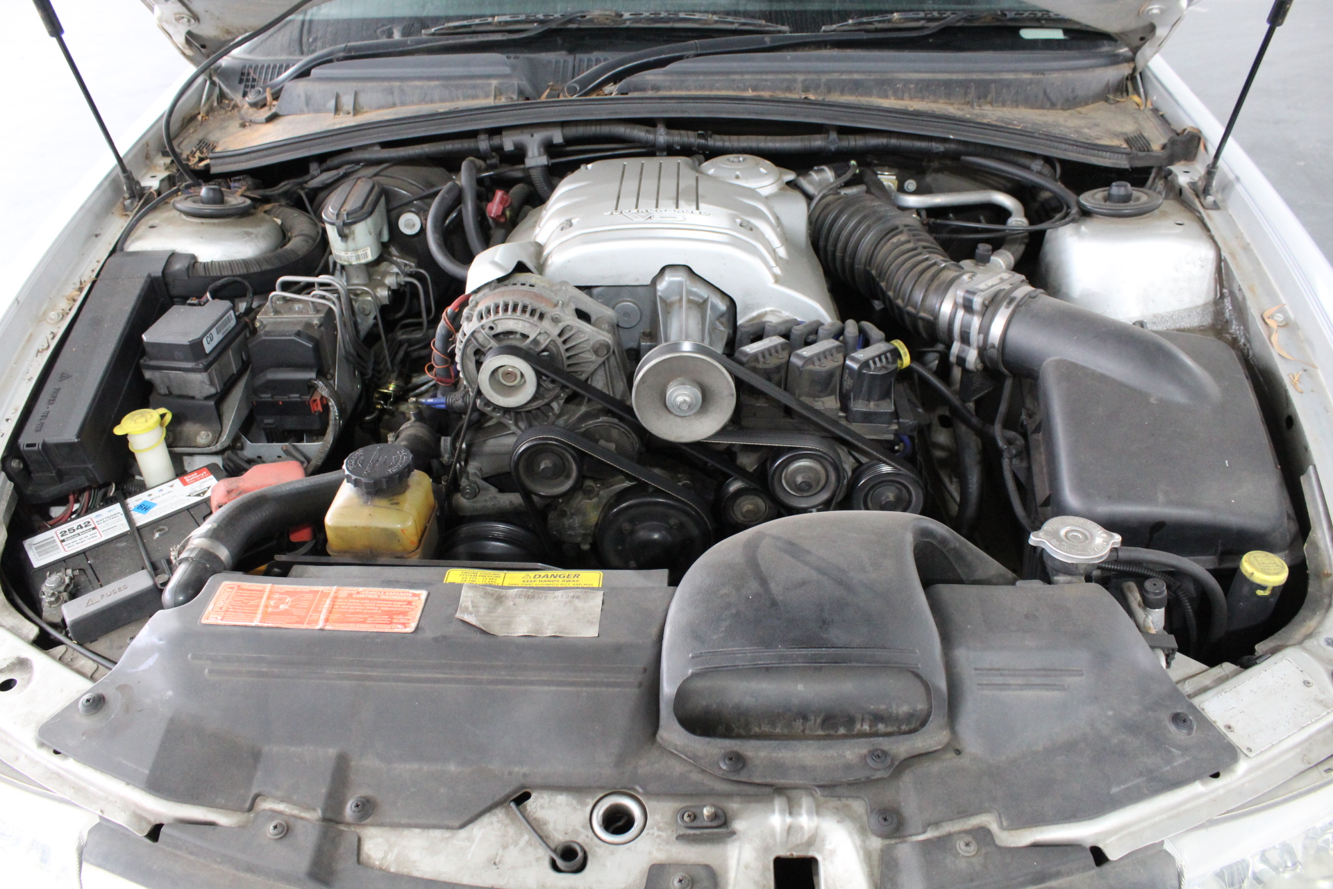 Younger Days Shiraz 2025 (12x 750mL), Heathcote, VIC.