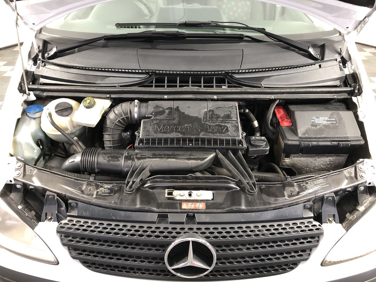 Ashton Gate Merlot 2022 (12x 750mL) Limestone Coast