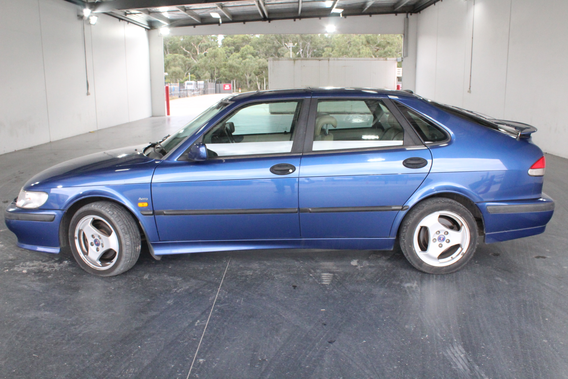 Cantina Danese Pinot Grigio Doc 2023 (12x 750mL) Italy