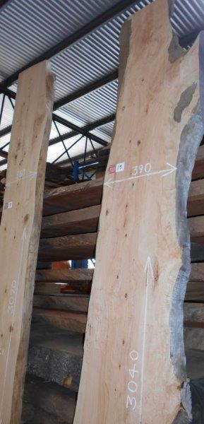 Amble & Fox Cabernet Sauvignon 2023 (12x 750mL), Margaret River.