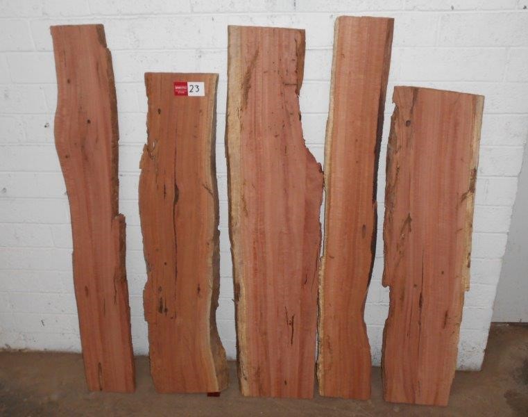 Drop Zone Reserve Malbec 2022 (12x 750mL) SA