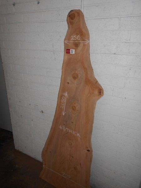 Pioneers First Patch Pinot Noir 2024 (12x 750mL) SA