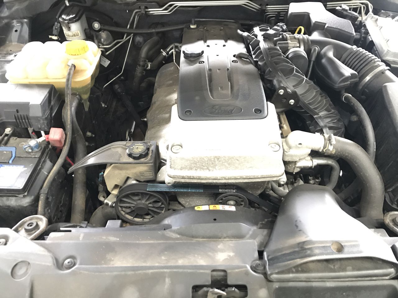 Fresh Water Pearl Dainty Round Stud 925 Sterling Silver Earrings