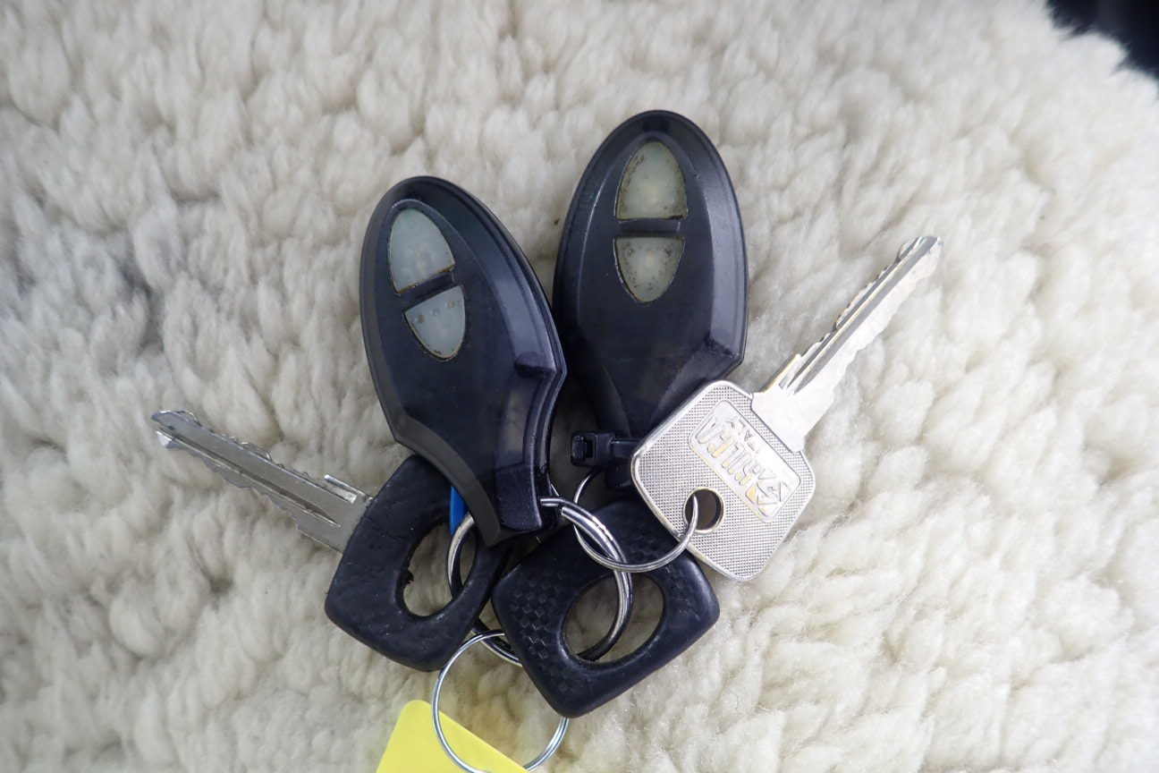 Global Trade Unit 1g (Approx) 999 Silver Coin with Certificate, Invest