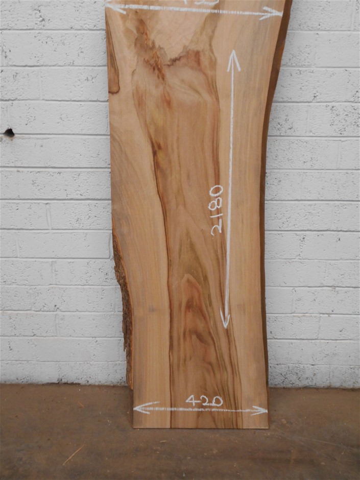 Devlin's Mount Shiraz 2021 (12x 750mL) Clare Valley