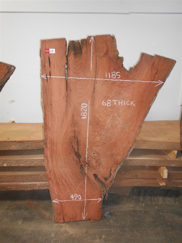 Elefante `El Valiente` Organic Tempranillo 2023 (6x 750mL) Coonawarra