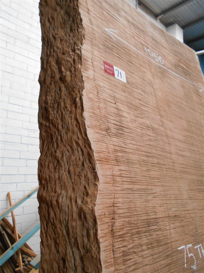 Little Giant Pinot Noir (6x 750mL).