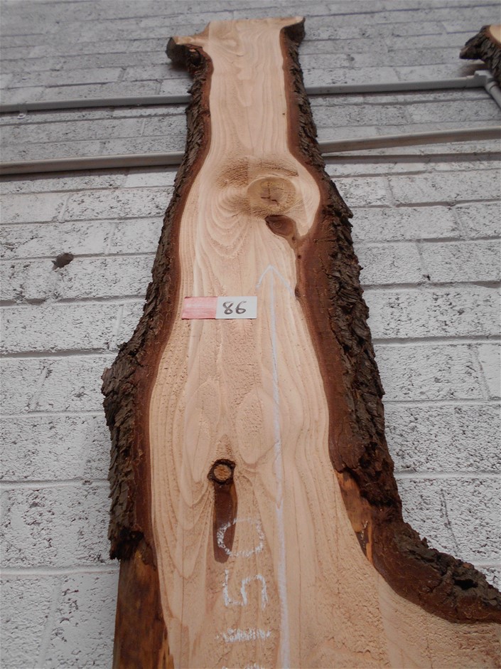 Trig Station Pinot Gris 2024 (12x 750mL) NZ