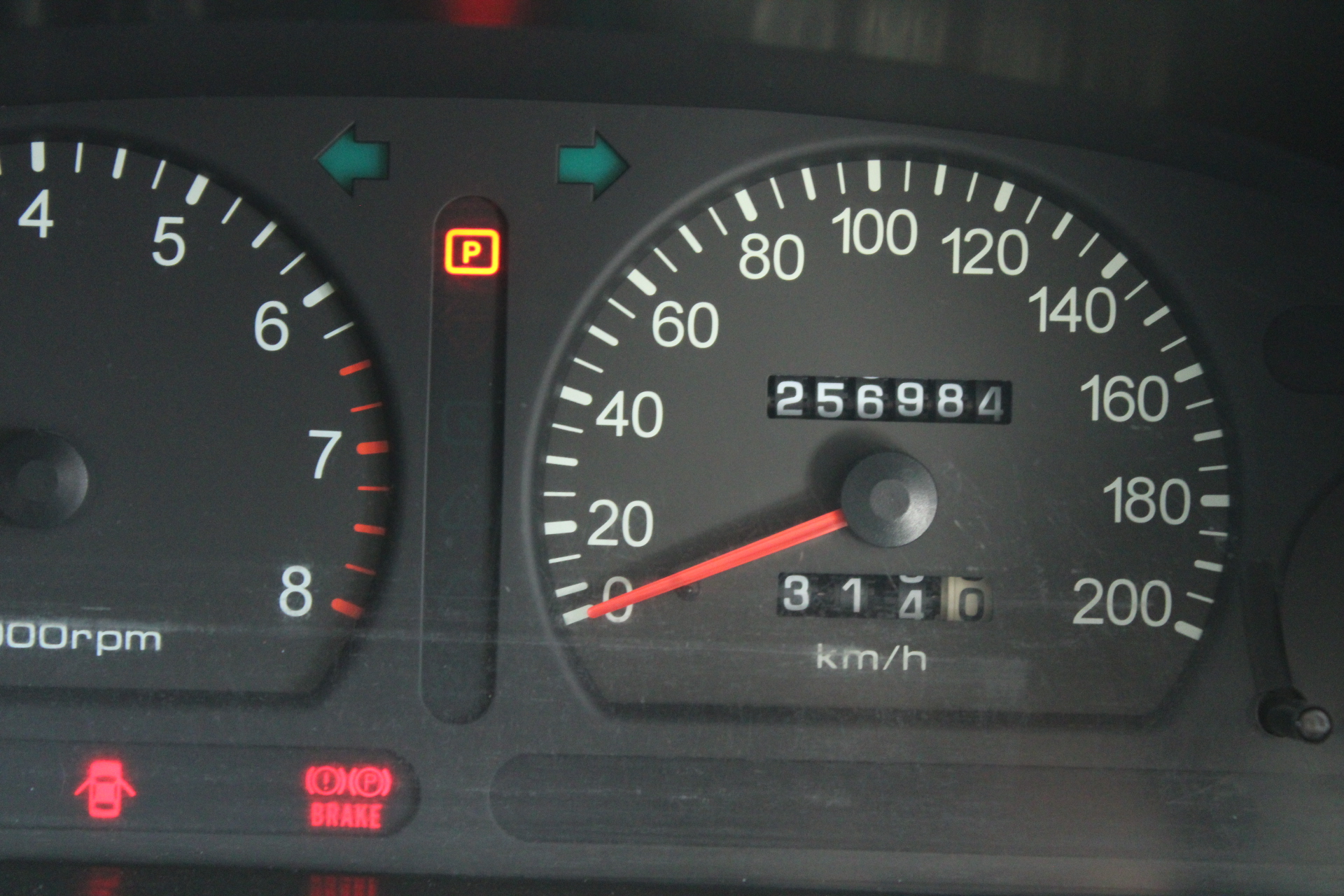 Fishbone Black Chardonnay 2025 (6x 750mL), Margaret River.