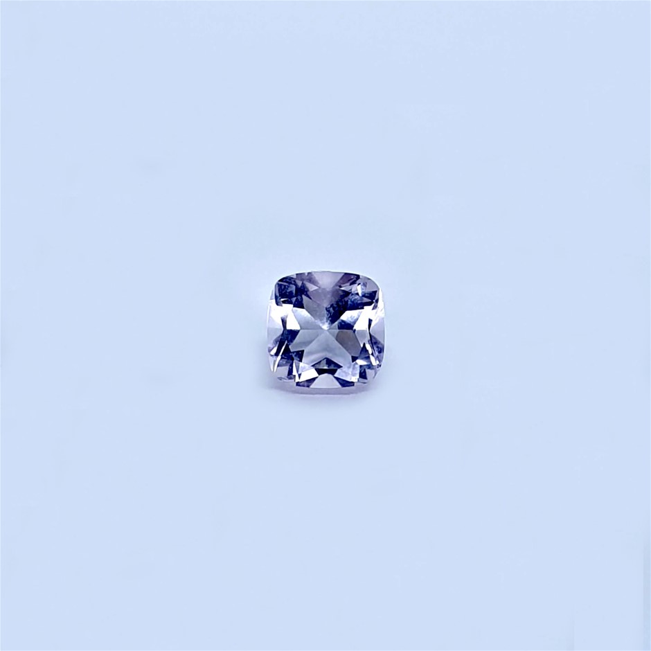 <p>Remax Doors Rapid Roller Warehouse Door</p>