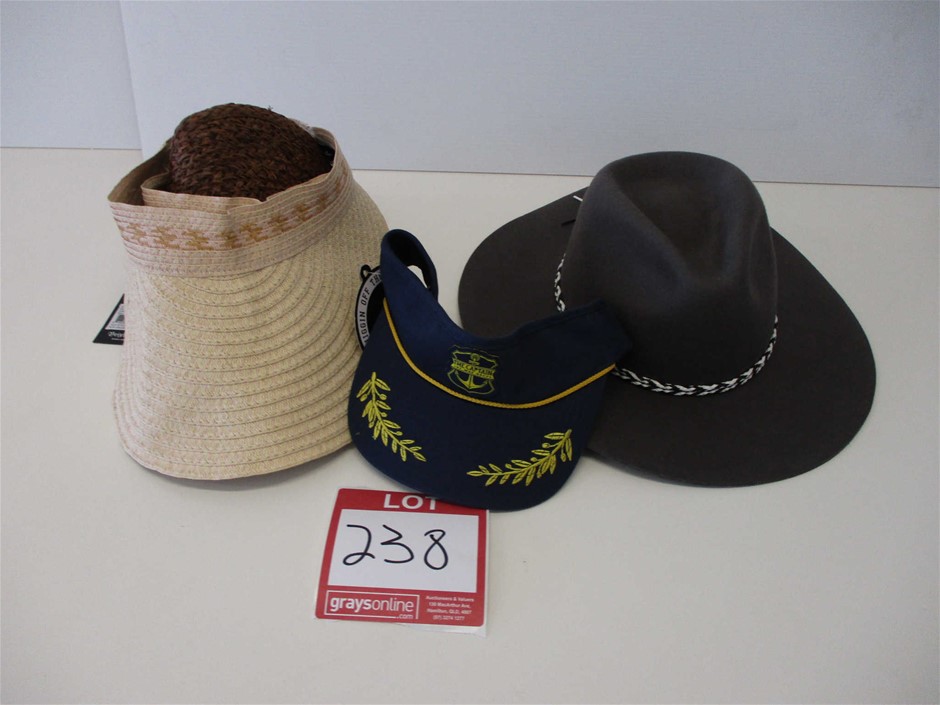 Thomson Estate Vine Dried Shiraz 2022 (12x 750mL) SA