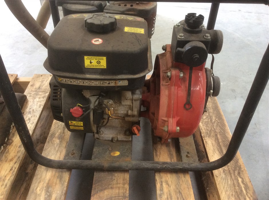 18k White & Yellow Gold Filled, Black Face Iced Out Diamond Quartz Watch