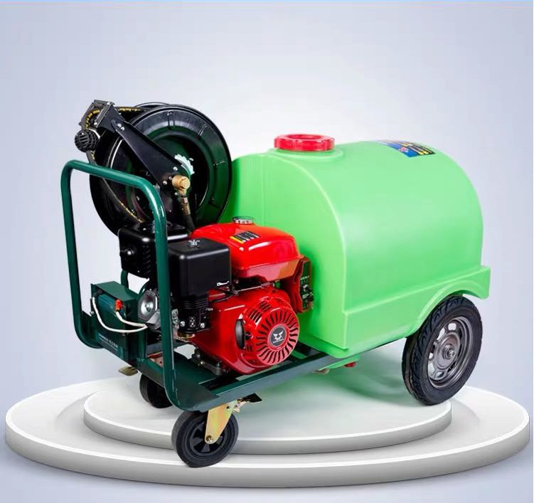 0.66 Ct - Pair of Tanzanite