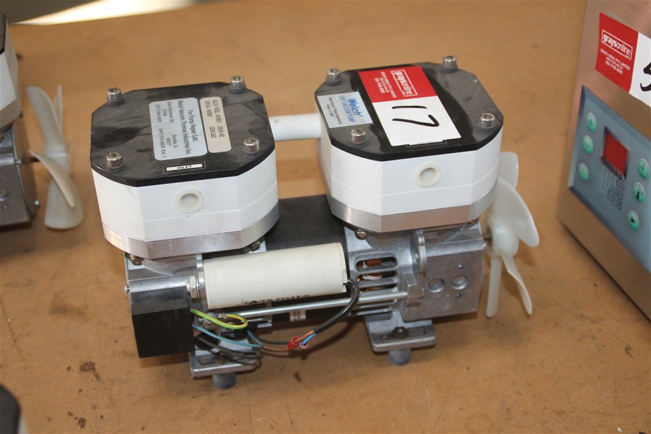 Waterproof  Watch Barrel Shaped Transparent Red Color Quartz Watch Popular