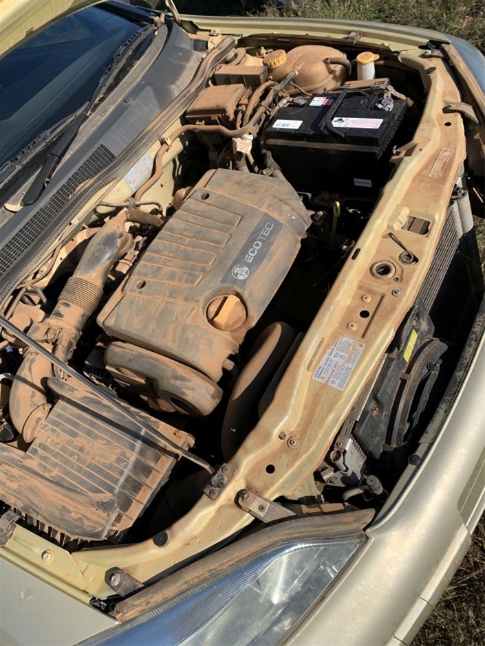 7-8mm Black Pearl with Rhinestones & CZ Gold Plated Bracelet