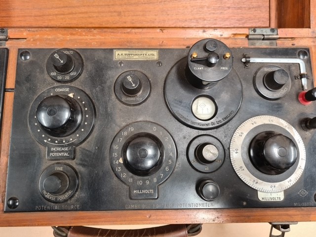 ADORA - Realistic 18-inch  Doll - "LUCY". Soft, Huggable Body. Moveable Arm