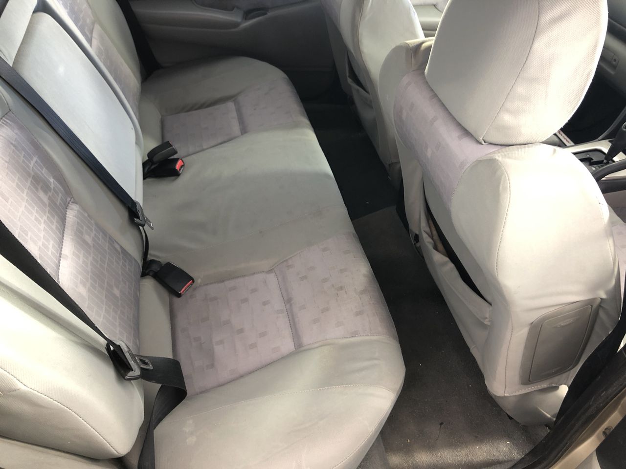 6-7mm Black Pearl & Rhinestone Real Platinum Plated Bracelet