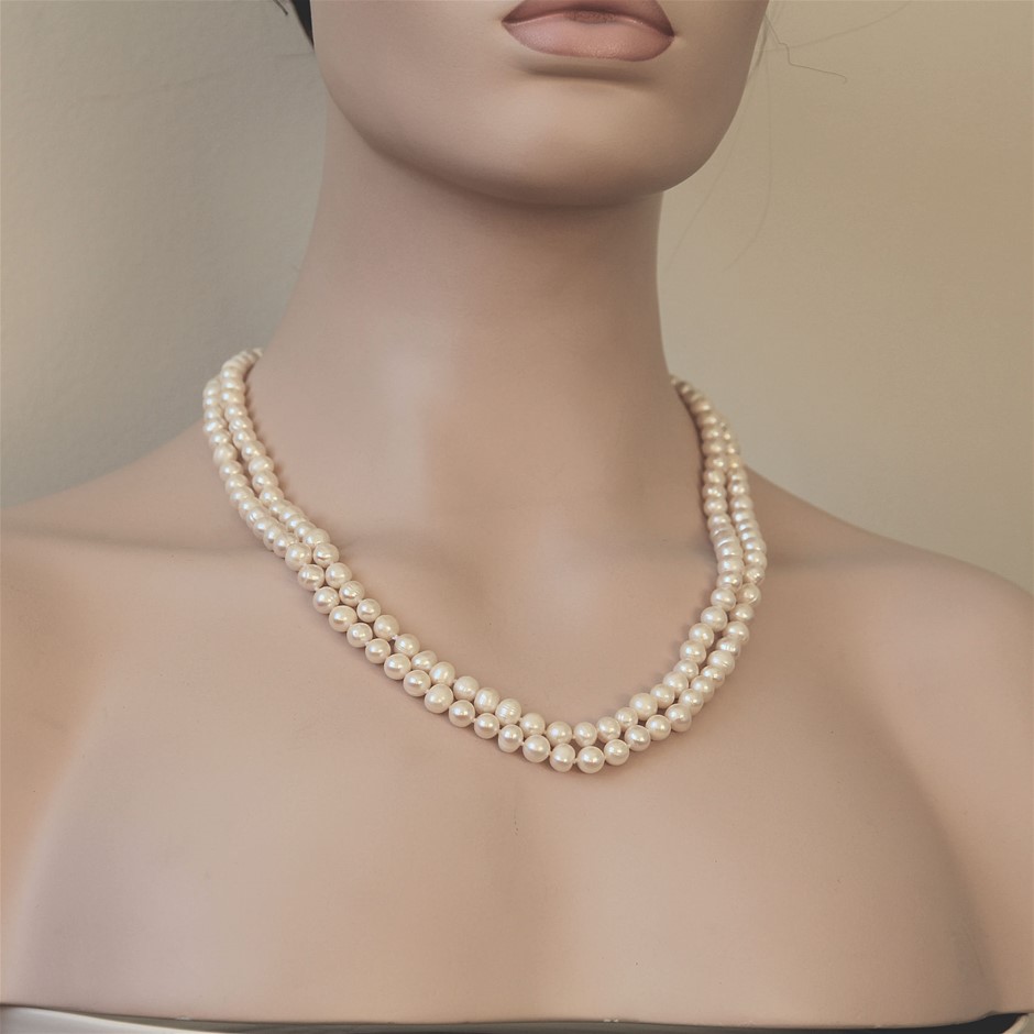 Elefante `El Valiente` Organic Tempranillo 2023 (6x 750mL) Coonawarra