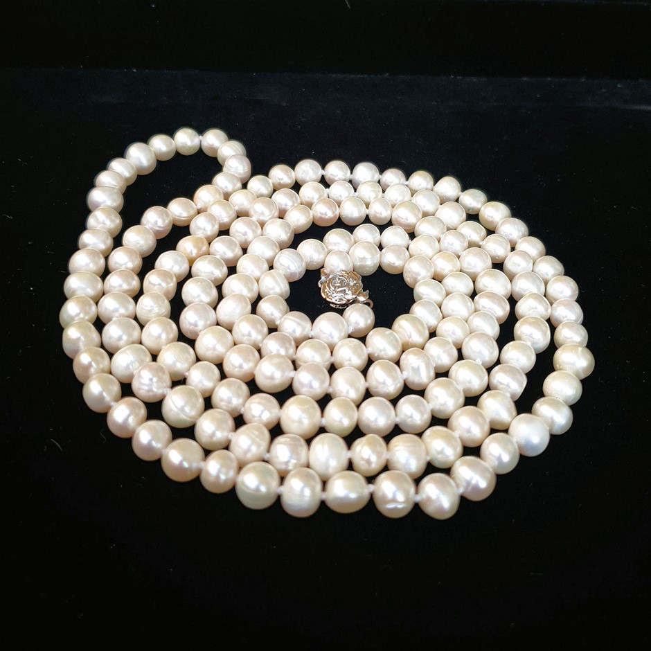 Elephant in the Room Chardonnay  (6x 750mL). (252626-1266)