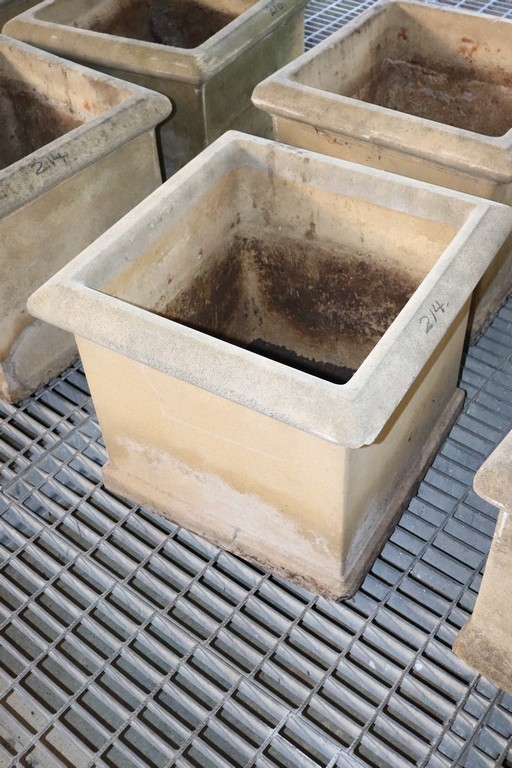 Pioneers First Patch Sauvignon Blanc 2023 (12x 750mL) SA