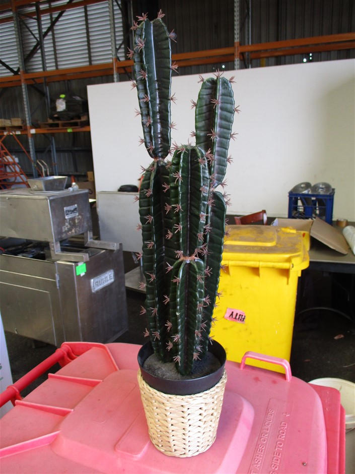 Stalking Horse Cabernet Sauvignon 2021 (12x 750mL) Langhorne Creek, SA