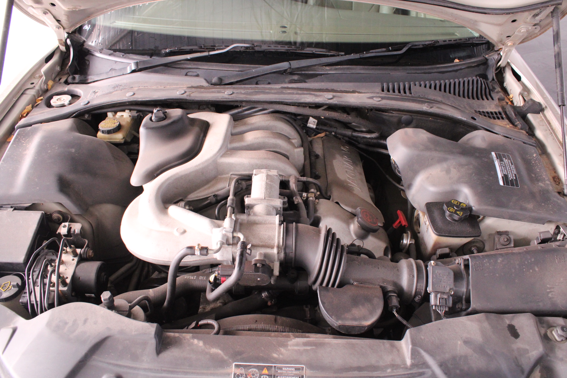 3 Packs of 5 x VOREL Sanding Belts, 75x533 mm, P100.