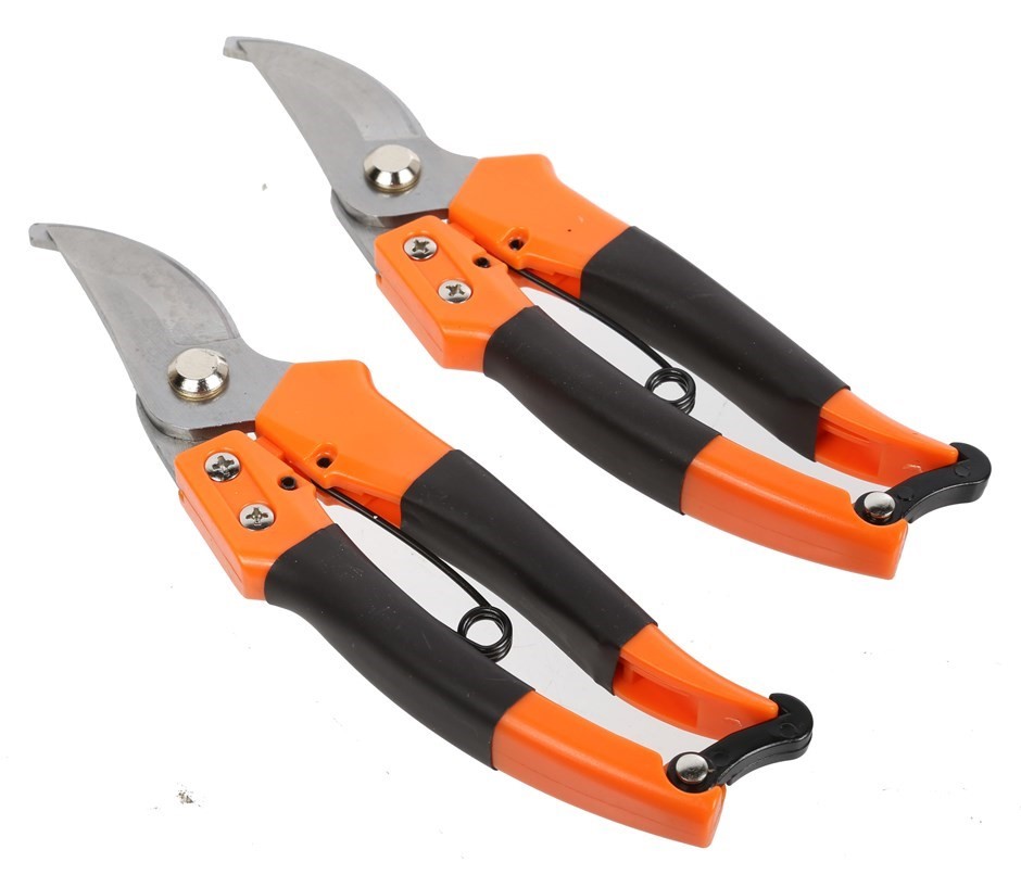 Fox In The House Rose 2023 (12x 750mL) SA