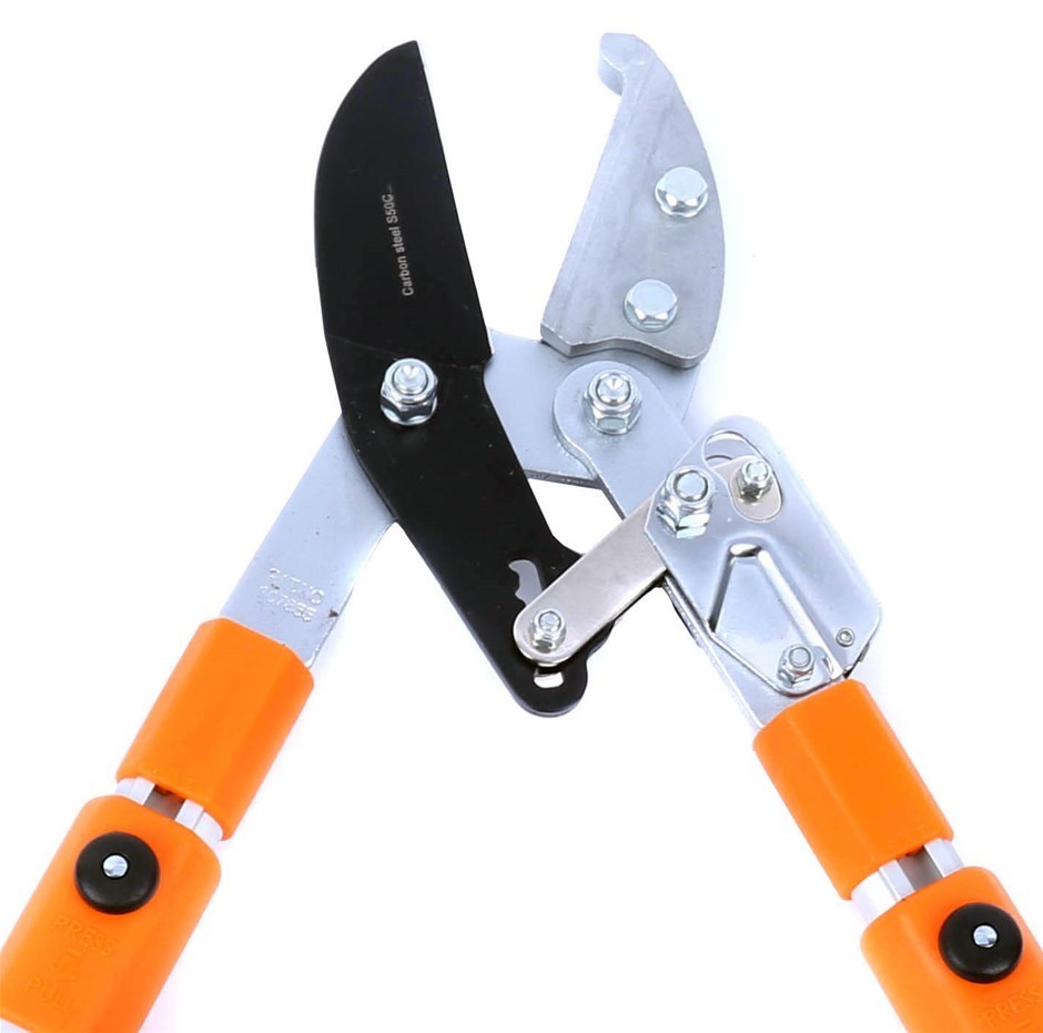 Roof Top Tent (Unused)